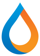 Flowx Logo